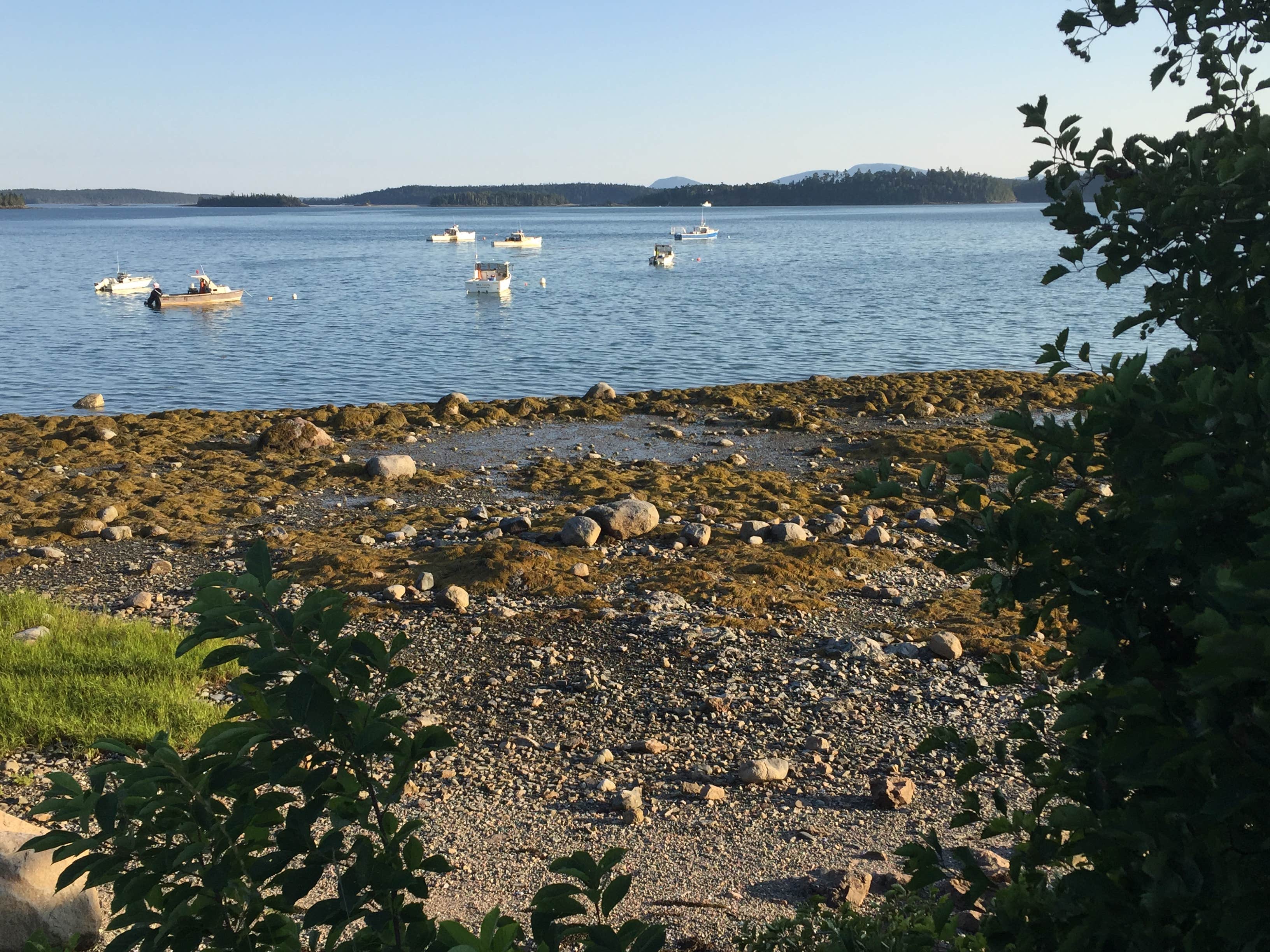 Camper-submitted photo at Acadia Seashore Camping and Cabins near Beddington, ME