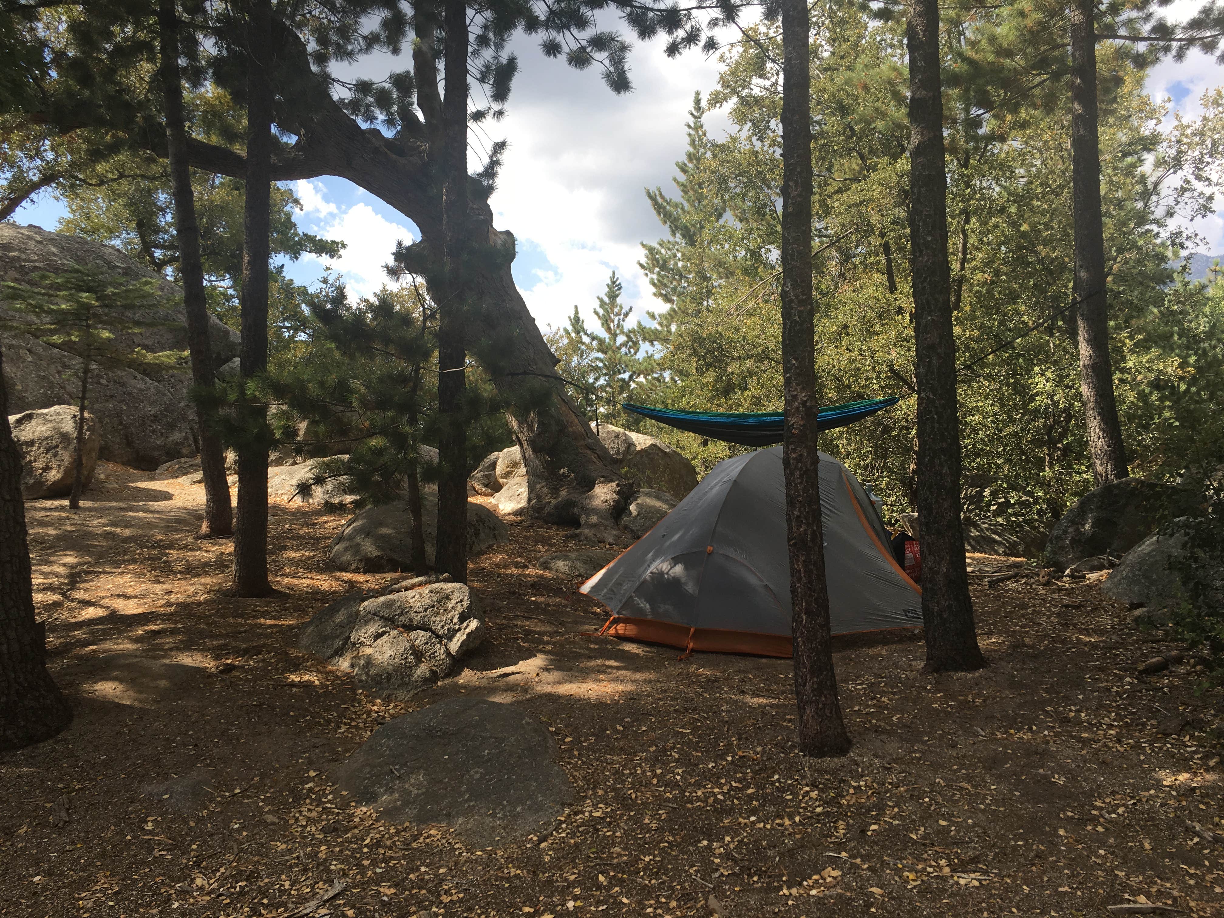 Shannon C.'s photo at Idyllwild Campground — Mount San Jacinto State Park near Mountain Center, CA