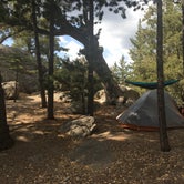 Review photo of Idyllwild Campground — Mount San Jacinto State Park by Shannon C., August 27, 2016