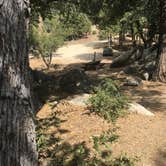 Review photo of Idyllwild Campground — Mount San Jacinto State Park by Shannon C., August 27, 2016