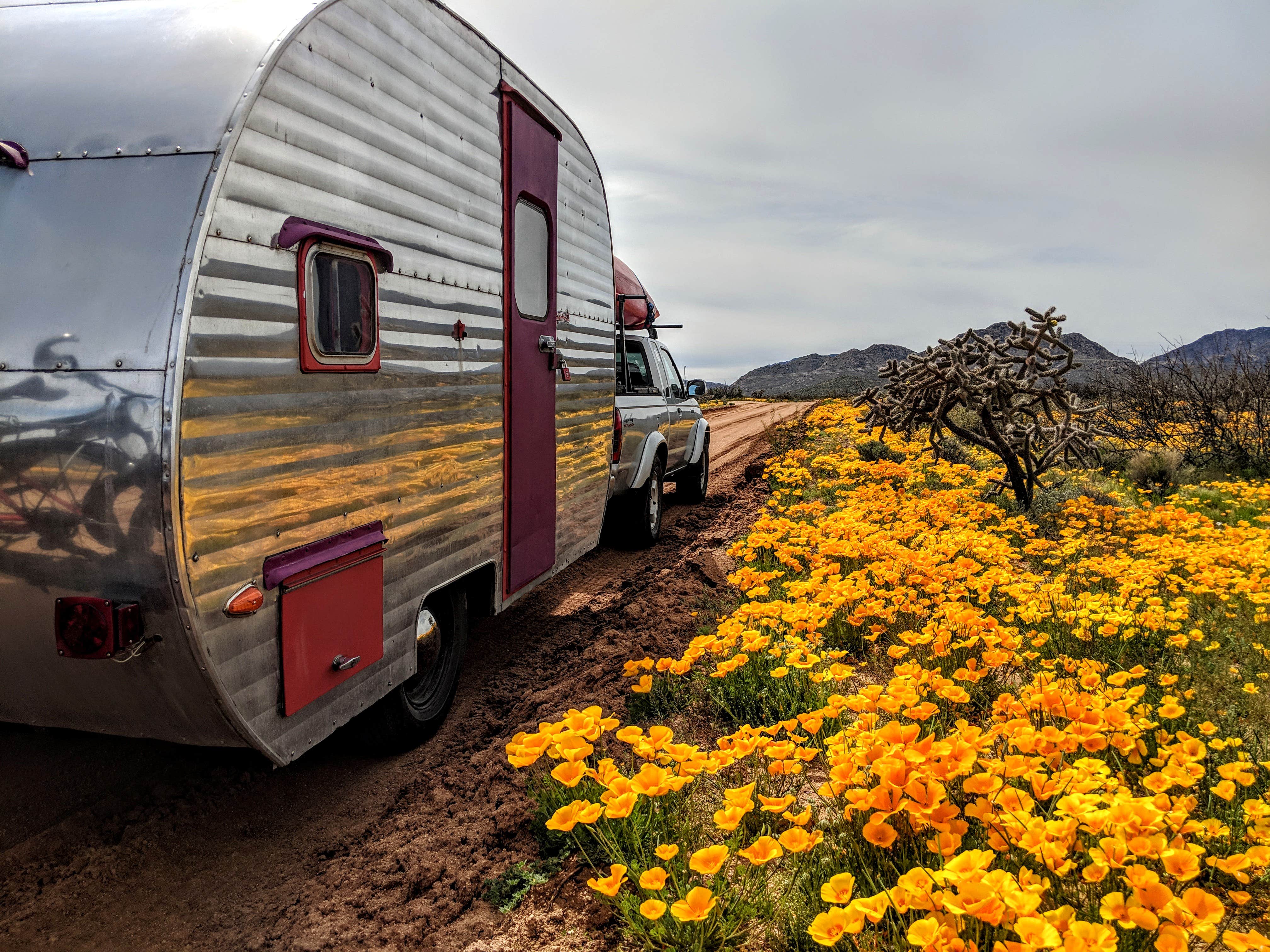 Shari  G.'s photo of rv camping at Tanque Road Dispersed Camping Near Safford near Morenci, AZ