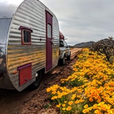 Review photo of Tanque Road Dispersed Camping Near Safford by Shari  G., April 26, 2019