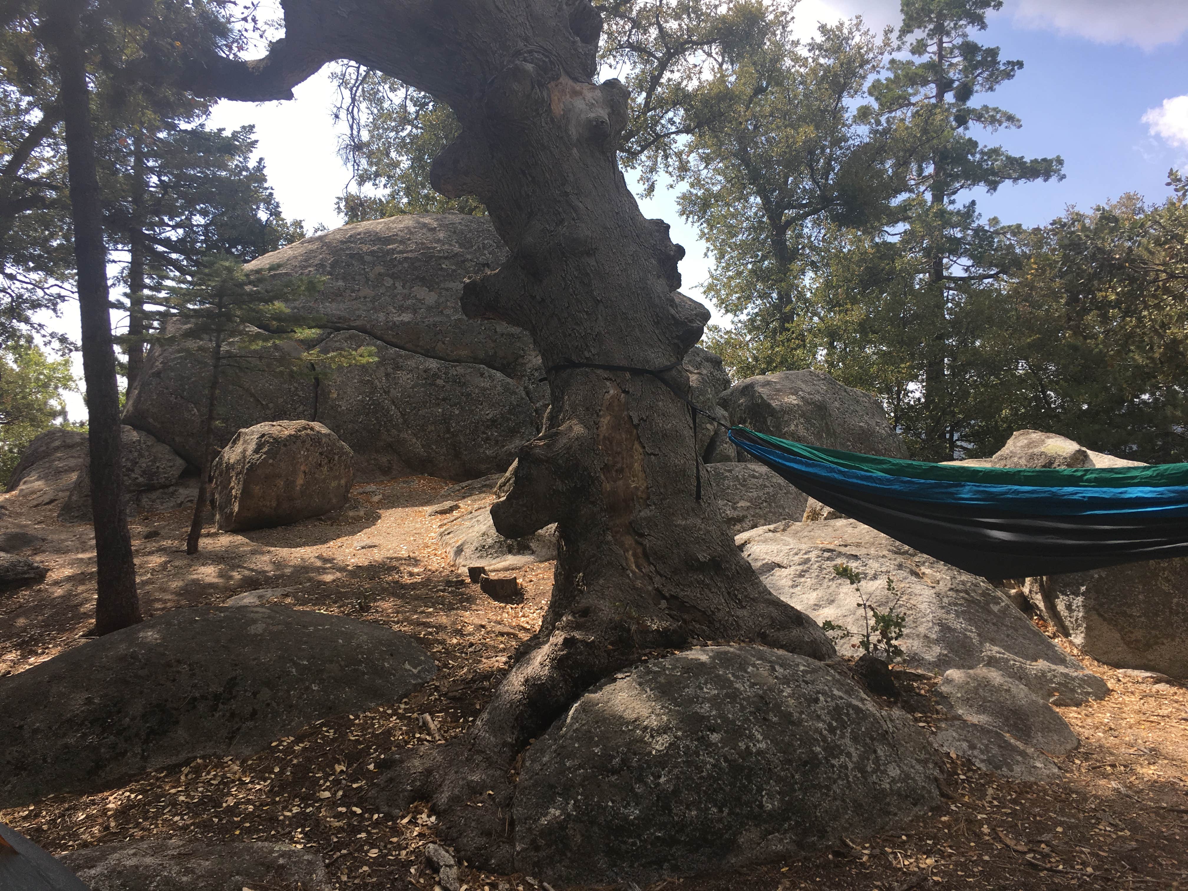 Camper submitted image from Idyllwild Campground — Mount San Jacinto State Park - 2