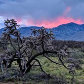 Review photo of Tanque Road Dispersed Camping Near Safford by Shari  G., April 26, 2019