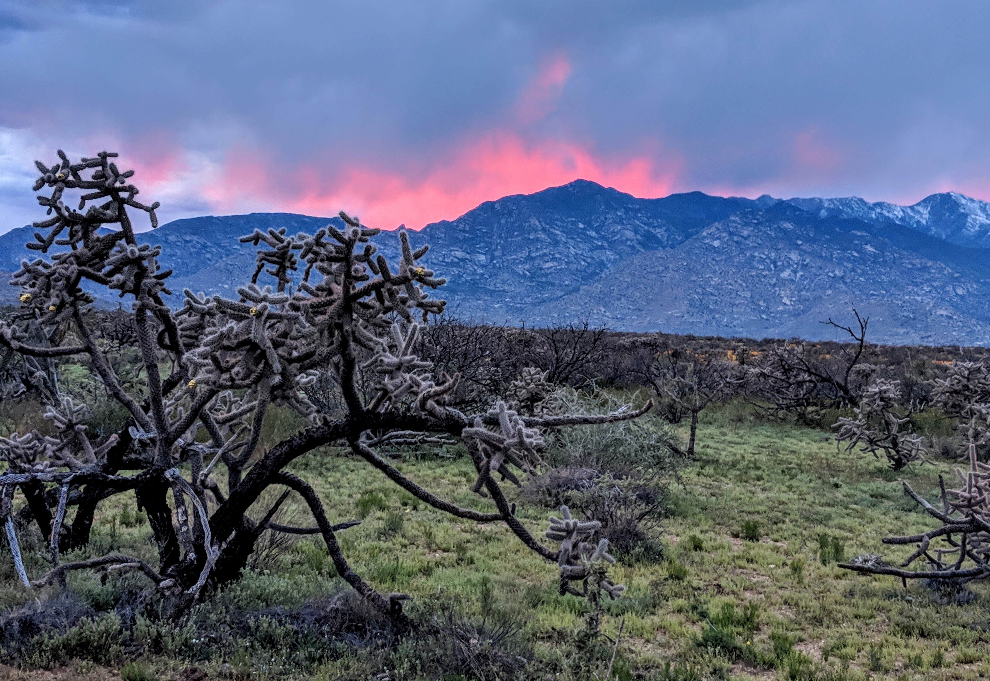 Camper submitted image from Tanque Road Dispersed Camping Near Safford - 5