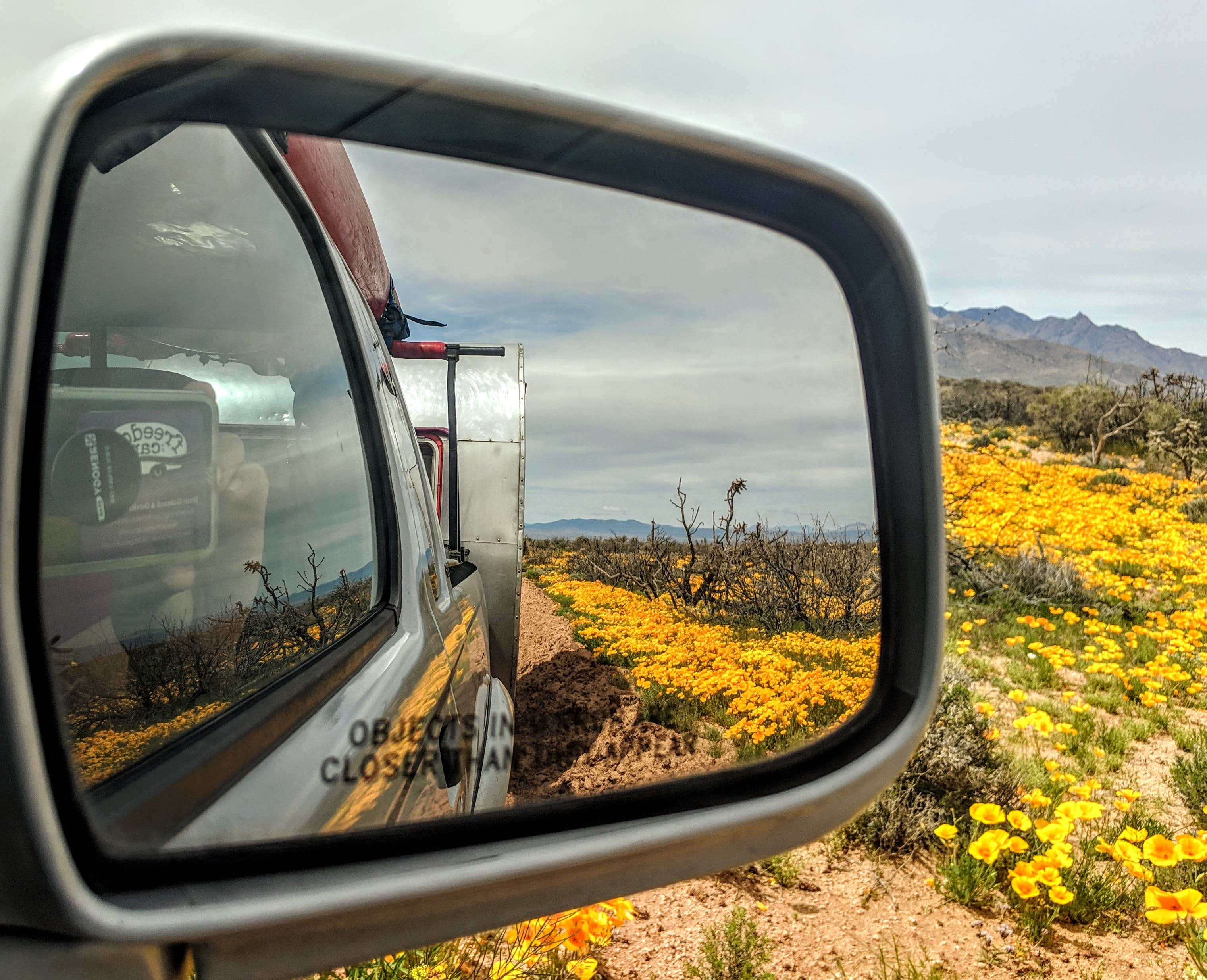 Camper-submitted photo at Tanque Road Dispersed Camping Near Safford near Safford, AZ
