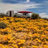 Review photo of Tanque Road Dispersed Camping Near Safford by Shari  G., April 26, 2019