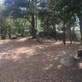 Review photo of Idyllwild Campground — Mount San Jacinto State Park by Shannon C., August 27, 2016