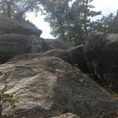 Review photo of Idyllwild Campground — Mount San Jacinto State Park by Shannon C., August 27, 2016
