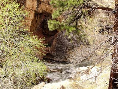 Camper submitted image from Outlaw Cave Campground - 5