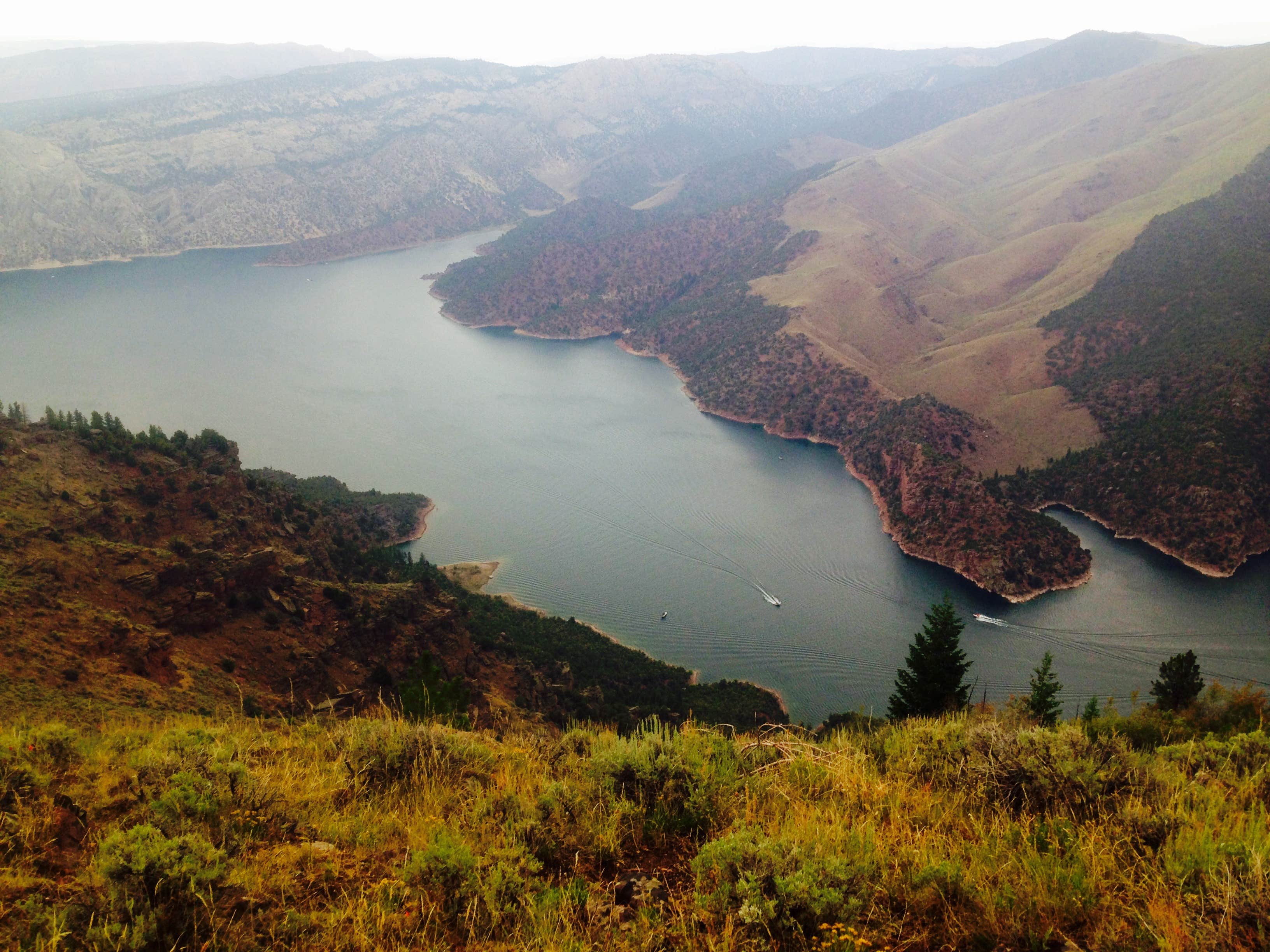 Camper submitted image from Flaming Gorge NRA Dispersed - 3