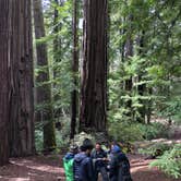 Review photo of Little Basin Cabins and Campground — Big Basin Redwoods State Park by Denisse H., April 27, 2019