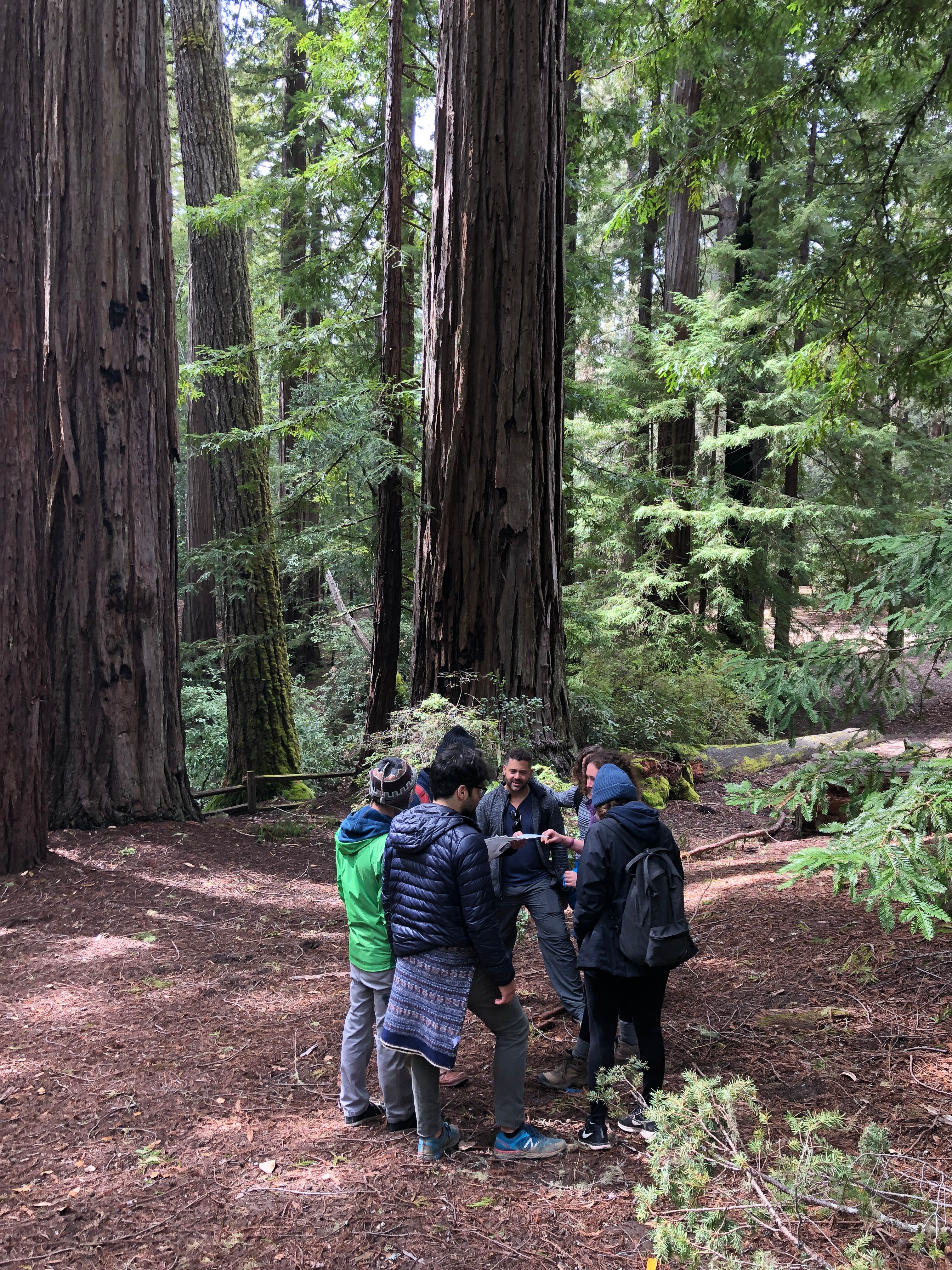 Camper submitted image from Little Basin Cabins and Campground — Big Basin Redwoods State Park - 4