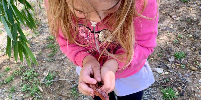 Camper submitted image from CampFire Ridge RV Park