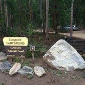 Review photo of Lodgepole Campground — Sequoia National Park by Roberto R., August 22, 2016