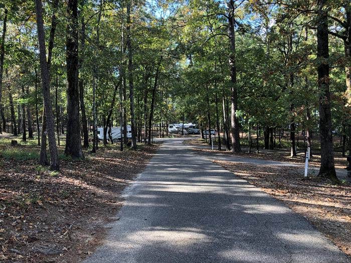 Camper submitted image from Alpine Ridge - De Gray Lake - 1
