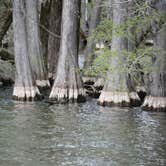 Review photo of Cypress View Campground — Santee State Park by Imagine C., April 27, 2019