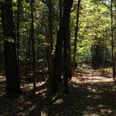 Review photo of Lake Michigan Campground at Muskegon State Park Campground by Emma W., April 27, 2019