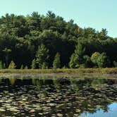 Review photo of Lake Michigan Campground at Muskegon State Park Campground by Emma W., April 27, 2019