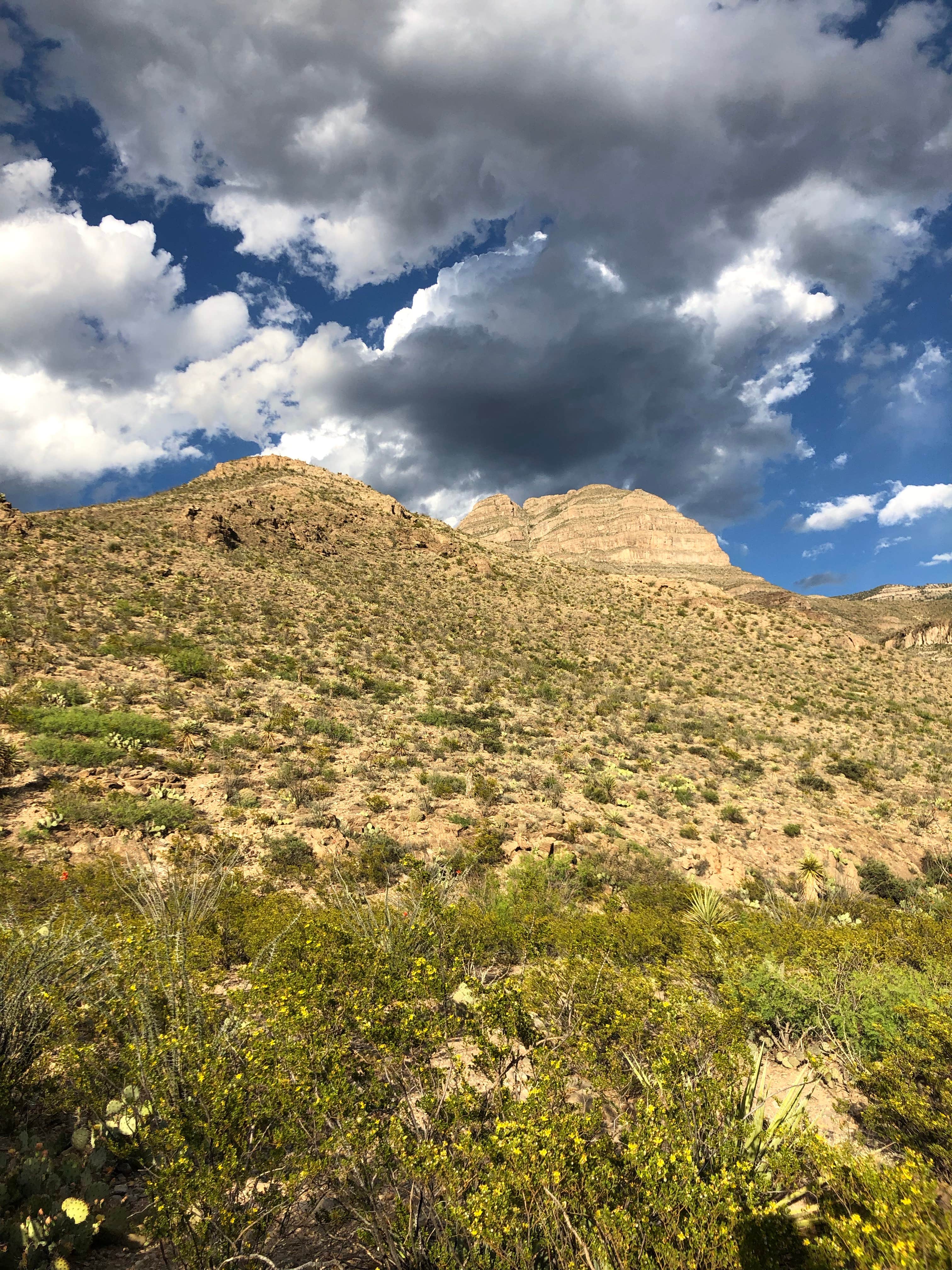 Oliver Lee Memorial State Park Campground