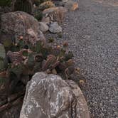 Review photo of Oliver Lee Memorial State Park — Oliver Lee State Park by Tiffany B., April 27, 2019