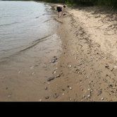 Review photo of Fisherman's Island State Park Campground by Stacia R., April 27, 2019