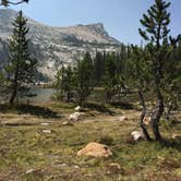 Review photo of Tuolumne Meadows Campground — Yosemite National Park by Roberto R., August 28, 2016