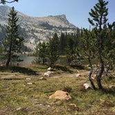 Review photo of Tuolumne Meadows Campground — Yosemite National Park by Roberto R., August 28, 2016