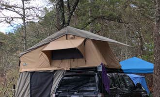 Camping near Sandy Neck Beach Park Primitive Campsites: Peters Pond RV Resort, Forestdale, Massachusetts