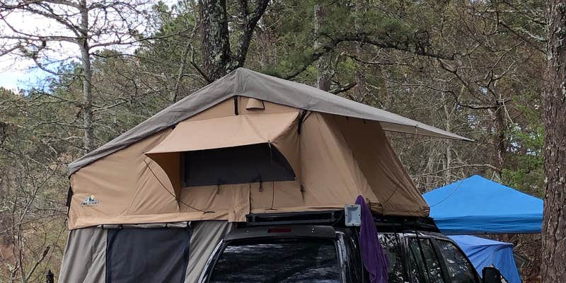 Camper submitted image from Peters Pond RV Resort