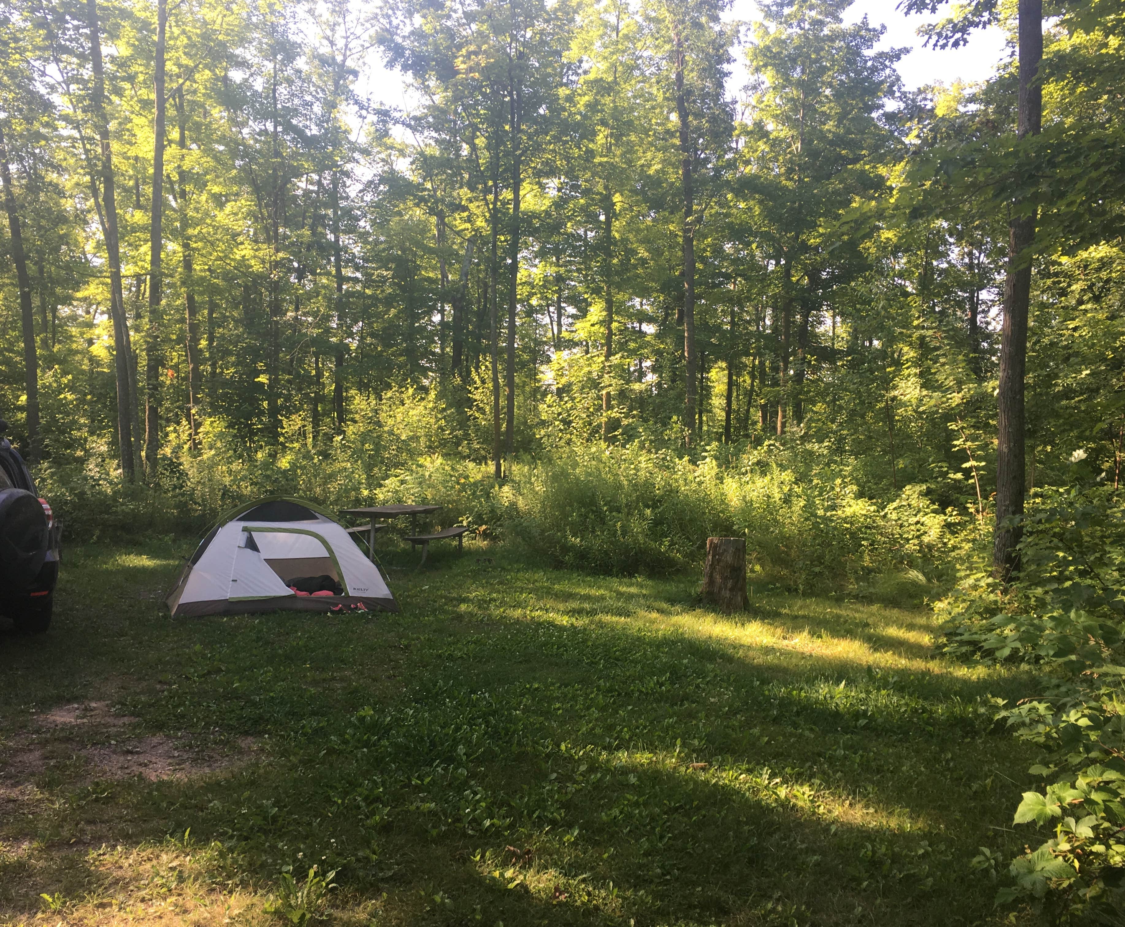 C D.'s photo at Boulder near Grantsburg, WI