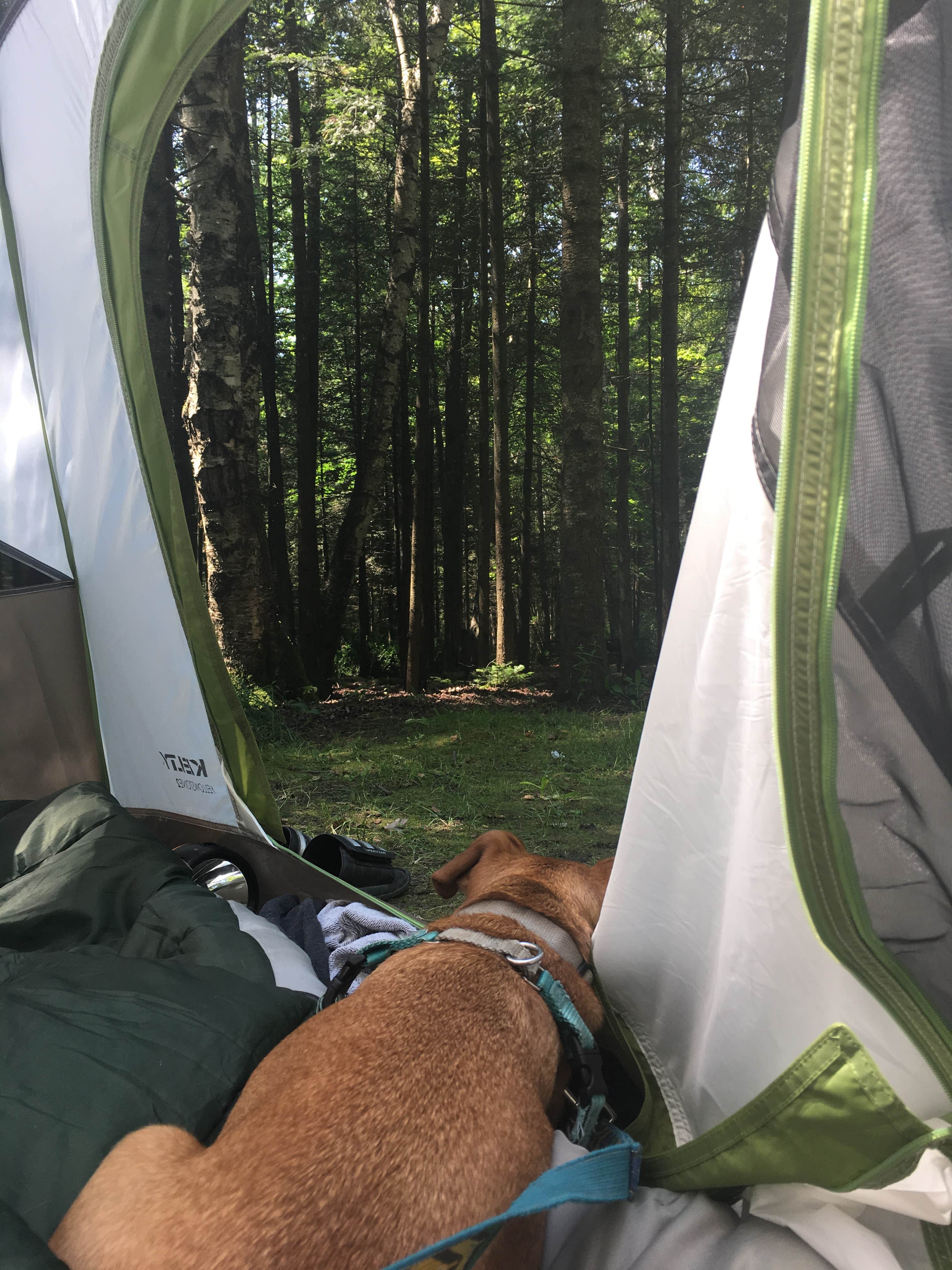 C D.'s photo at Boulder near Saint Croix National Scenic River