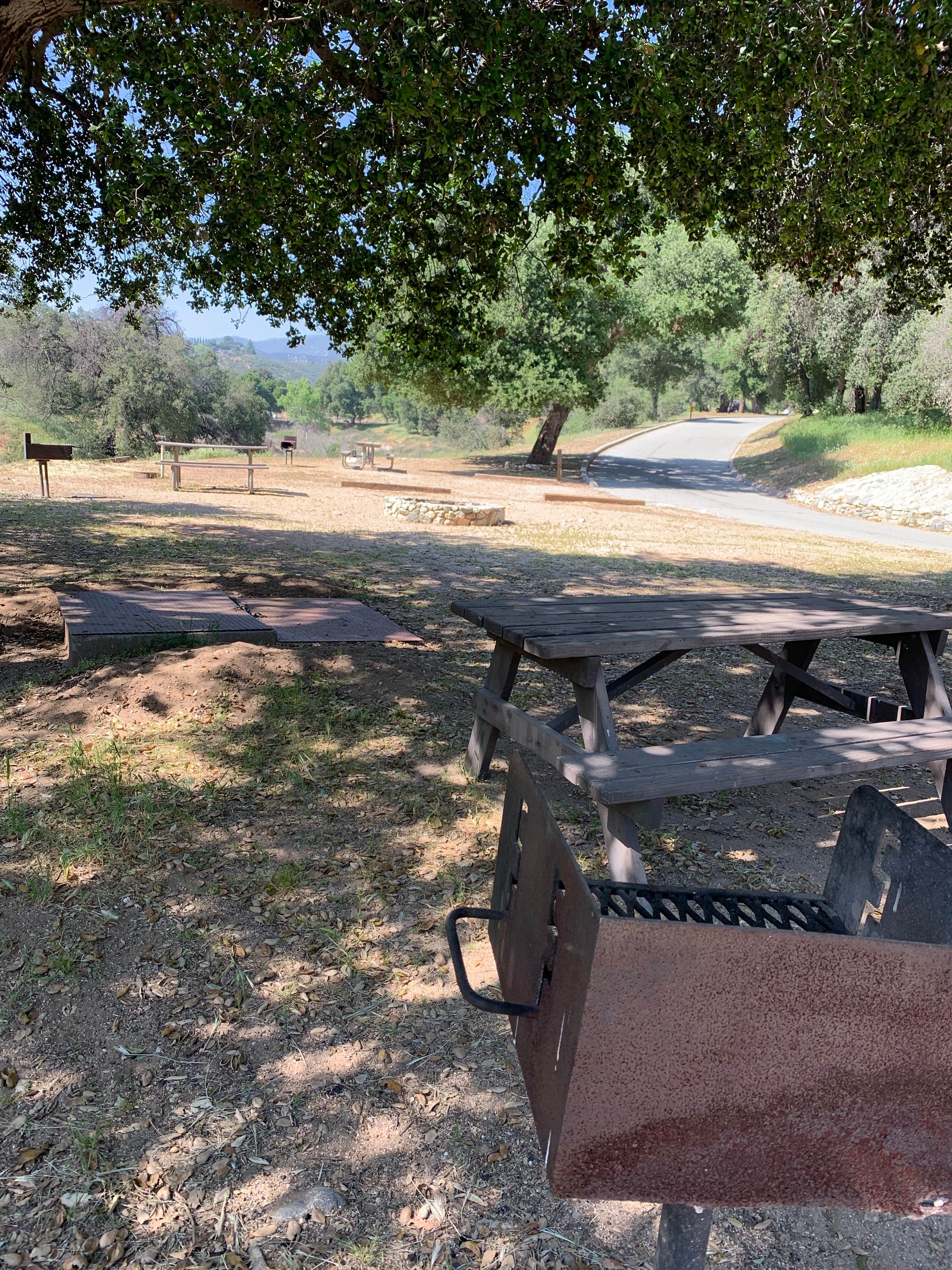 Camper-submitted photo at Bogart County Park near Forest Falls, CA