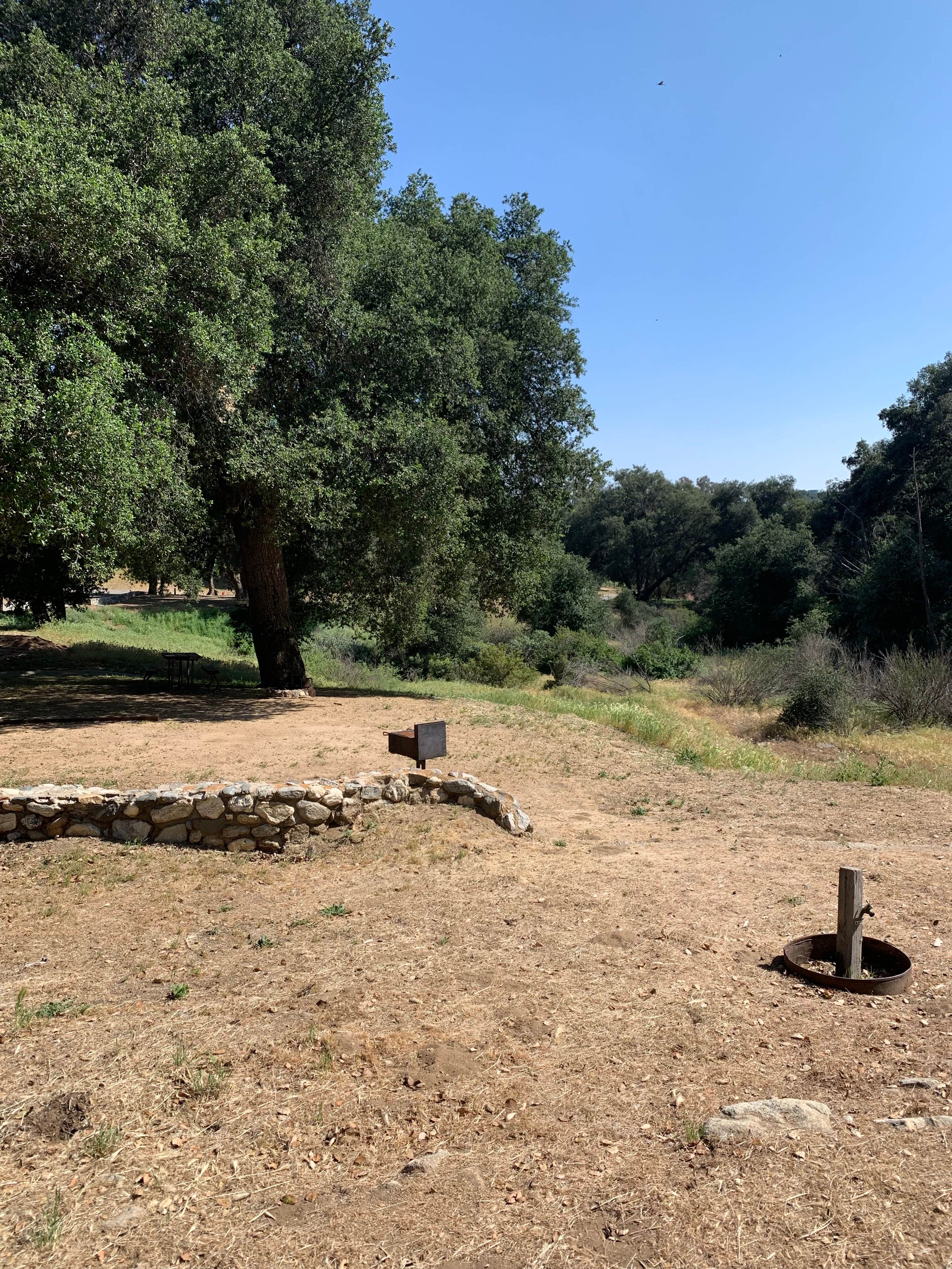 Camper-submitted photo at Bogart County Park near Forest Falls, CA