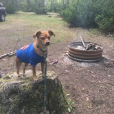 Review photo of Brevoort Lake Campground by C D., April 27, 2019