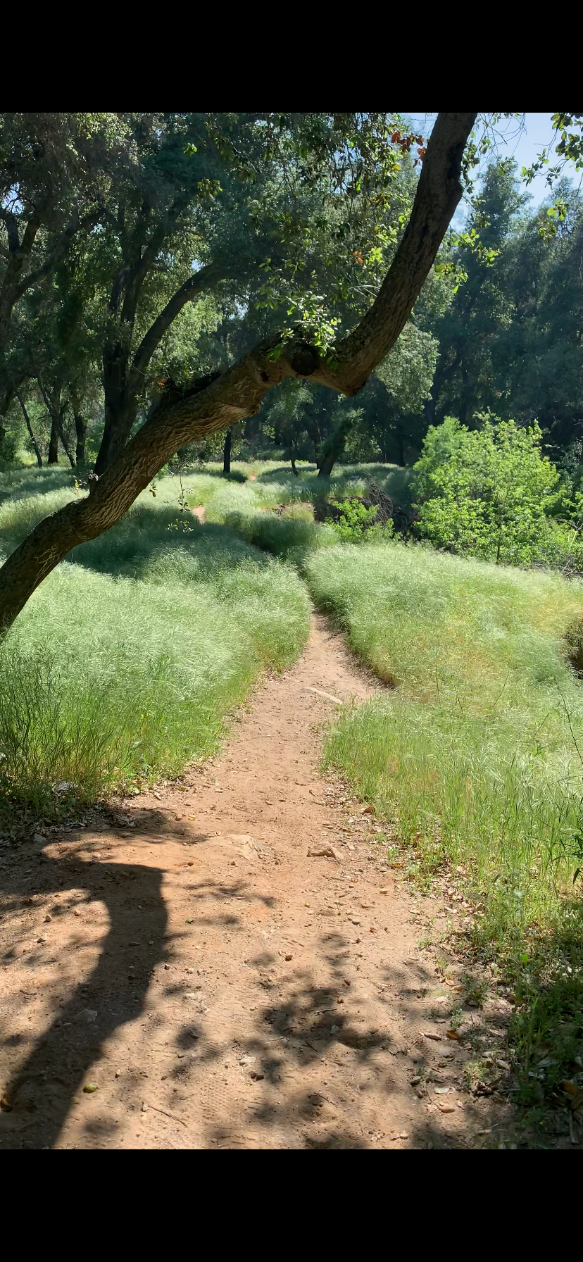 Camper submitted image from Bogart County Park - 3