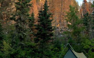 Mia F.'s photo at Rising Sun Campground — Glacier National Park near Glacier National Park