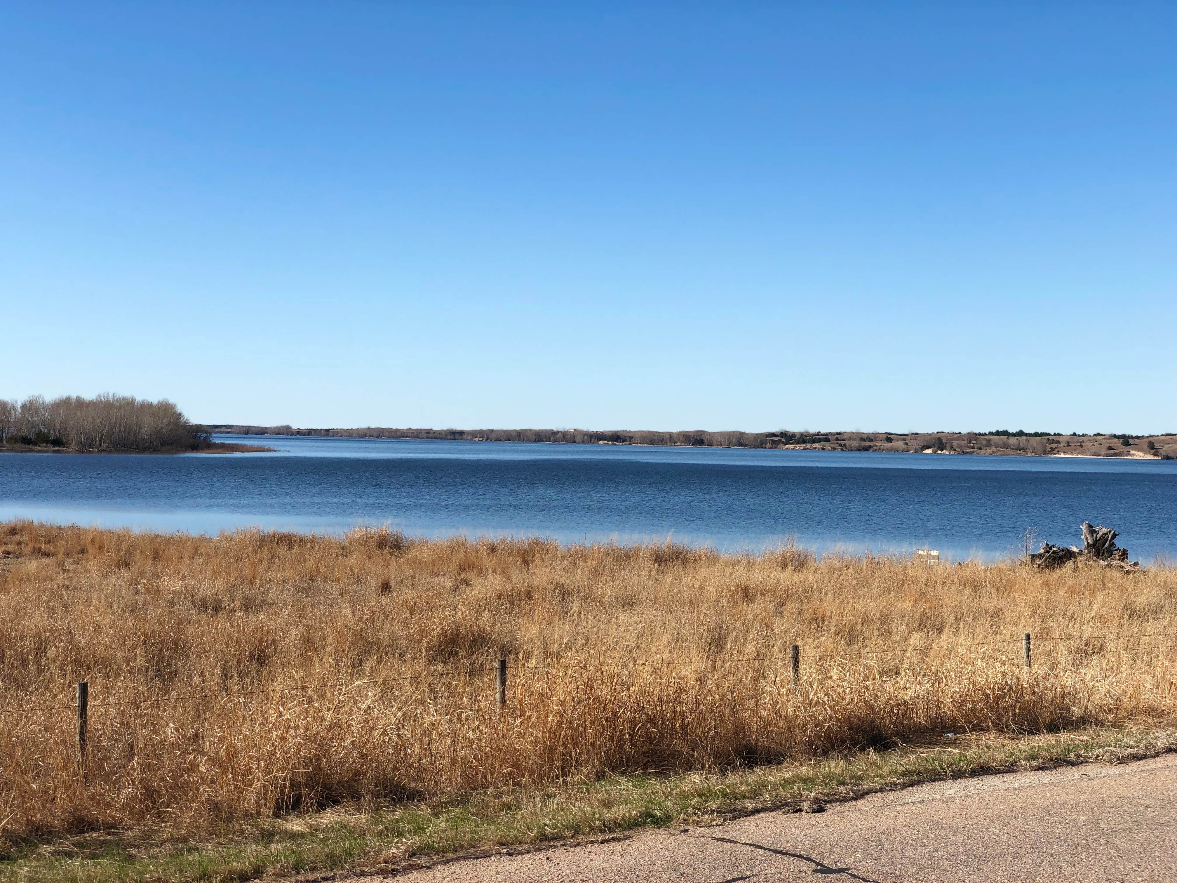 Camper submitted image from Nunda Shoal Campground - 3