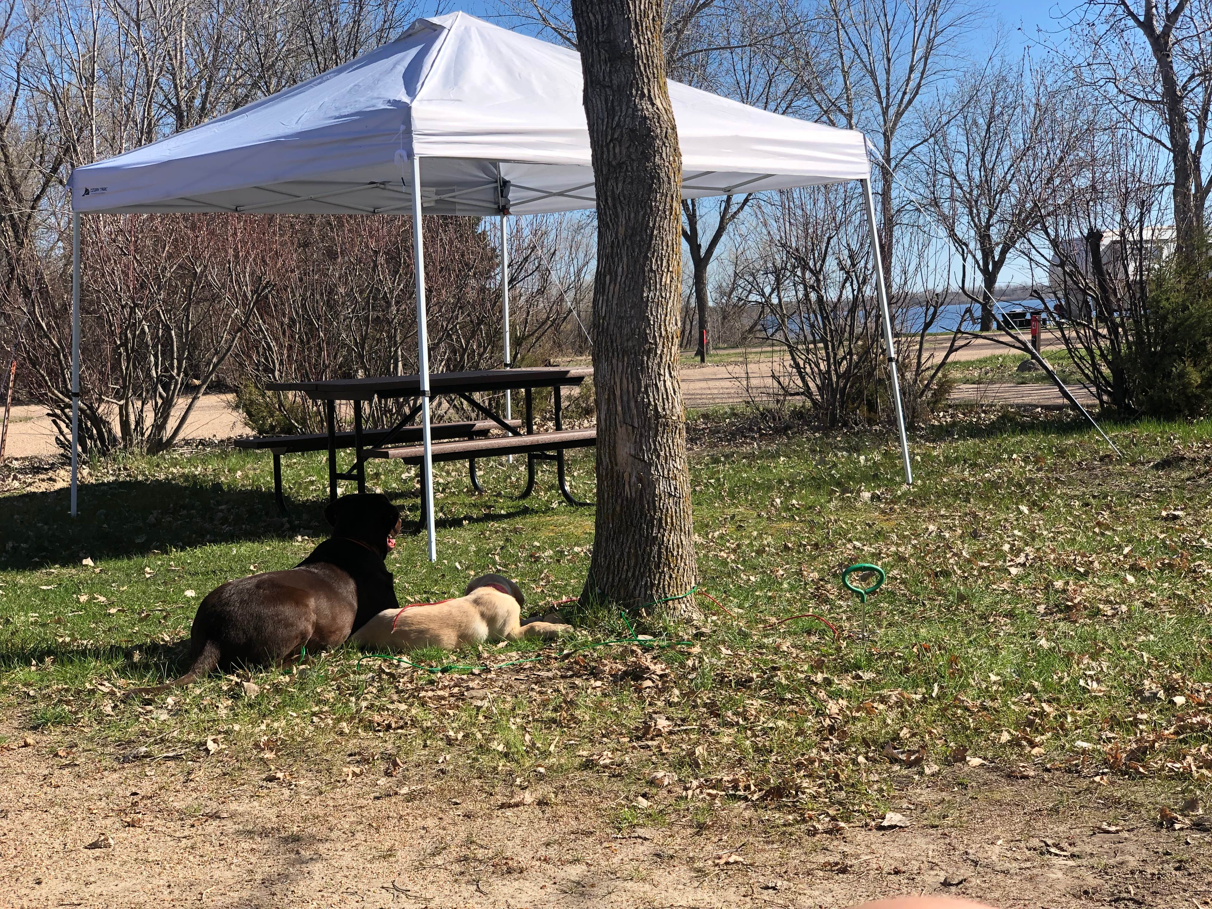Darrick  H.'s photo of camping with pets at Nunda Shoals Campground — Calamus SRA near Ashton, NE