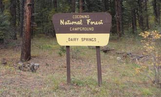 Camping near Lake Mary Recreation Corridor: Dairy Springs Campground, Mormon Lake, Arizona
