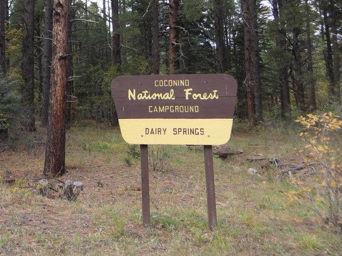 Camper submitted image from Dairy Springs Campground - 1