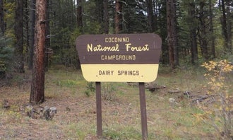 Camping near Lake Mary Recreation Corridor: Dairy Springs Campground, Mormon Lake, Arizona