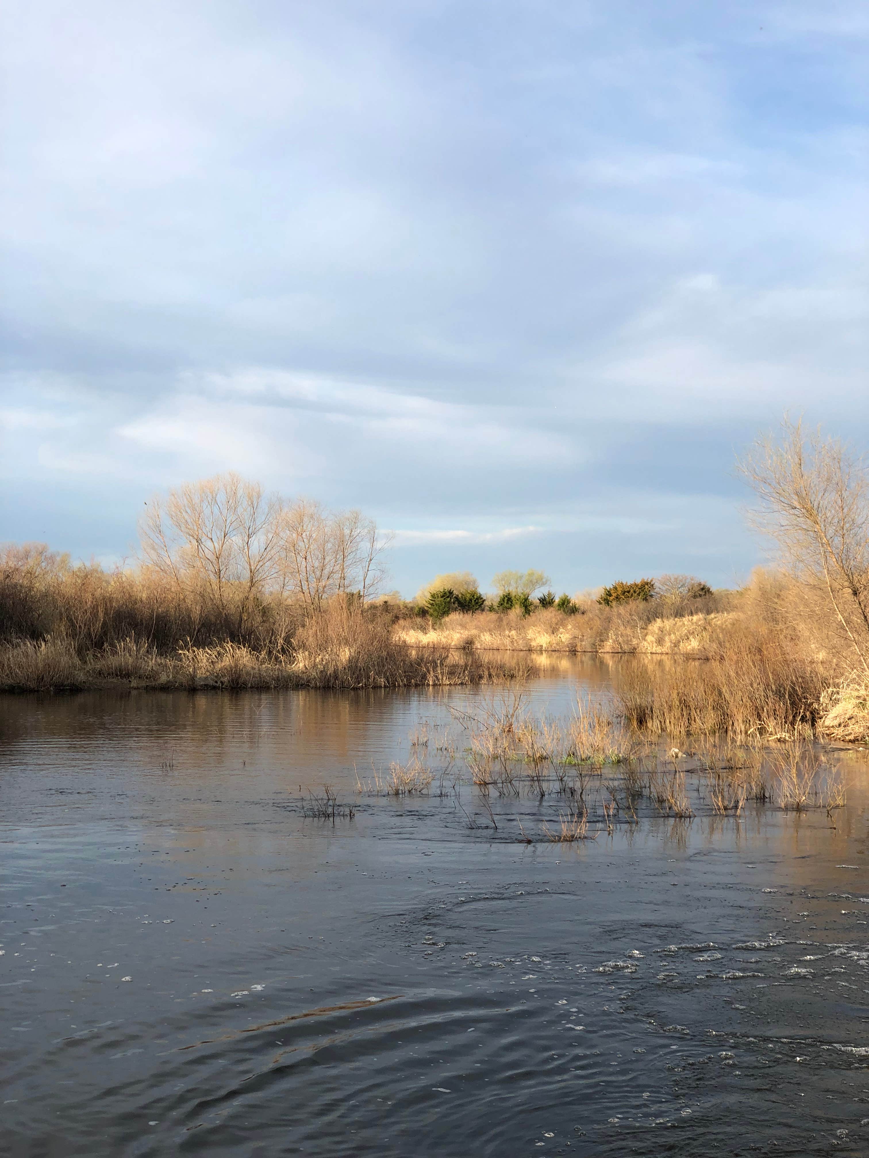 Camper submitted image from Calamus Reservoir - 2