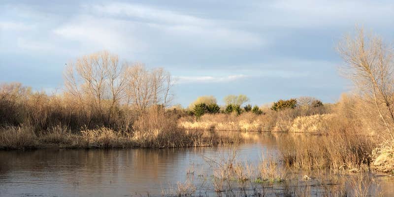 Camper submitted image from Nunda Shoals Campground — Calamus SRA