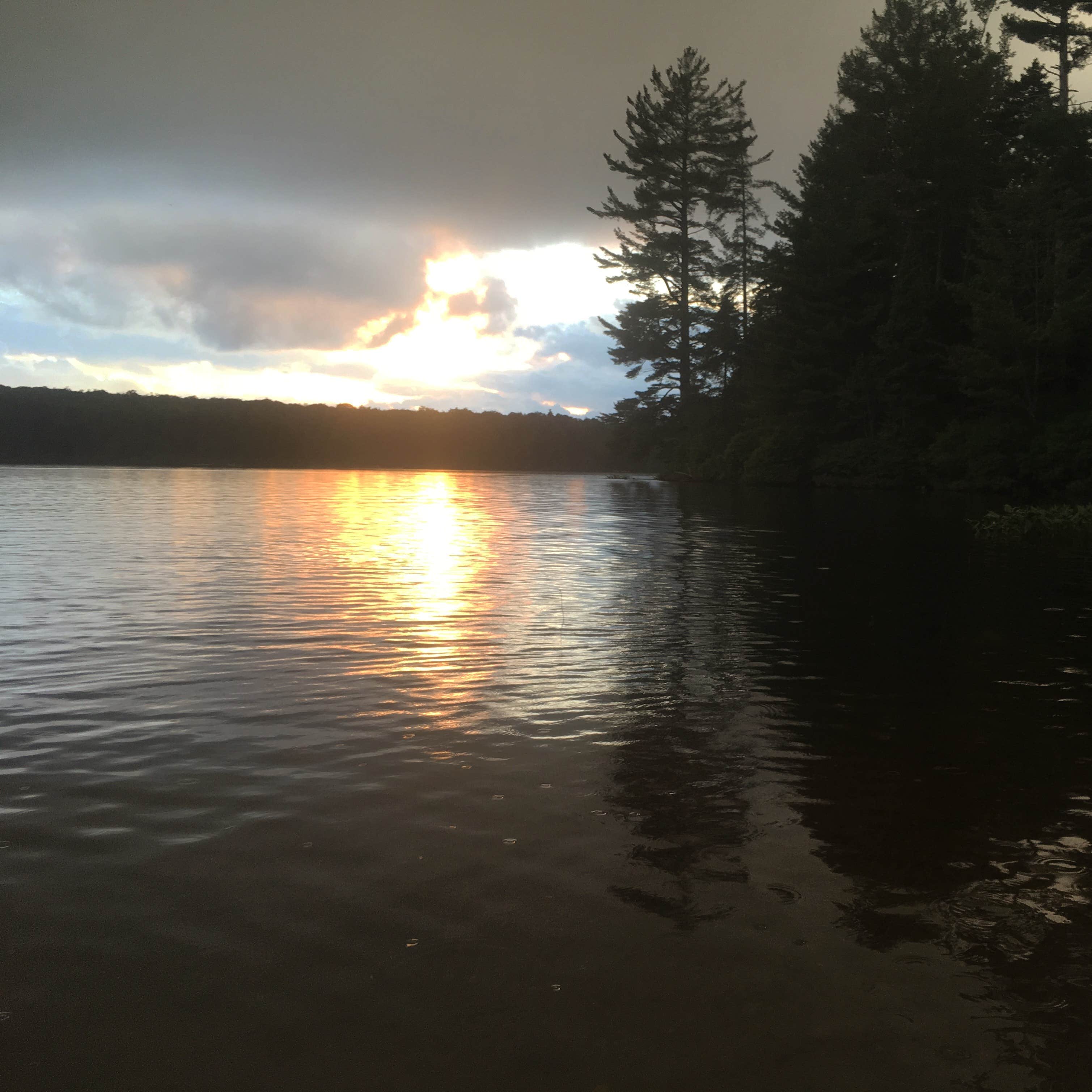 View All