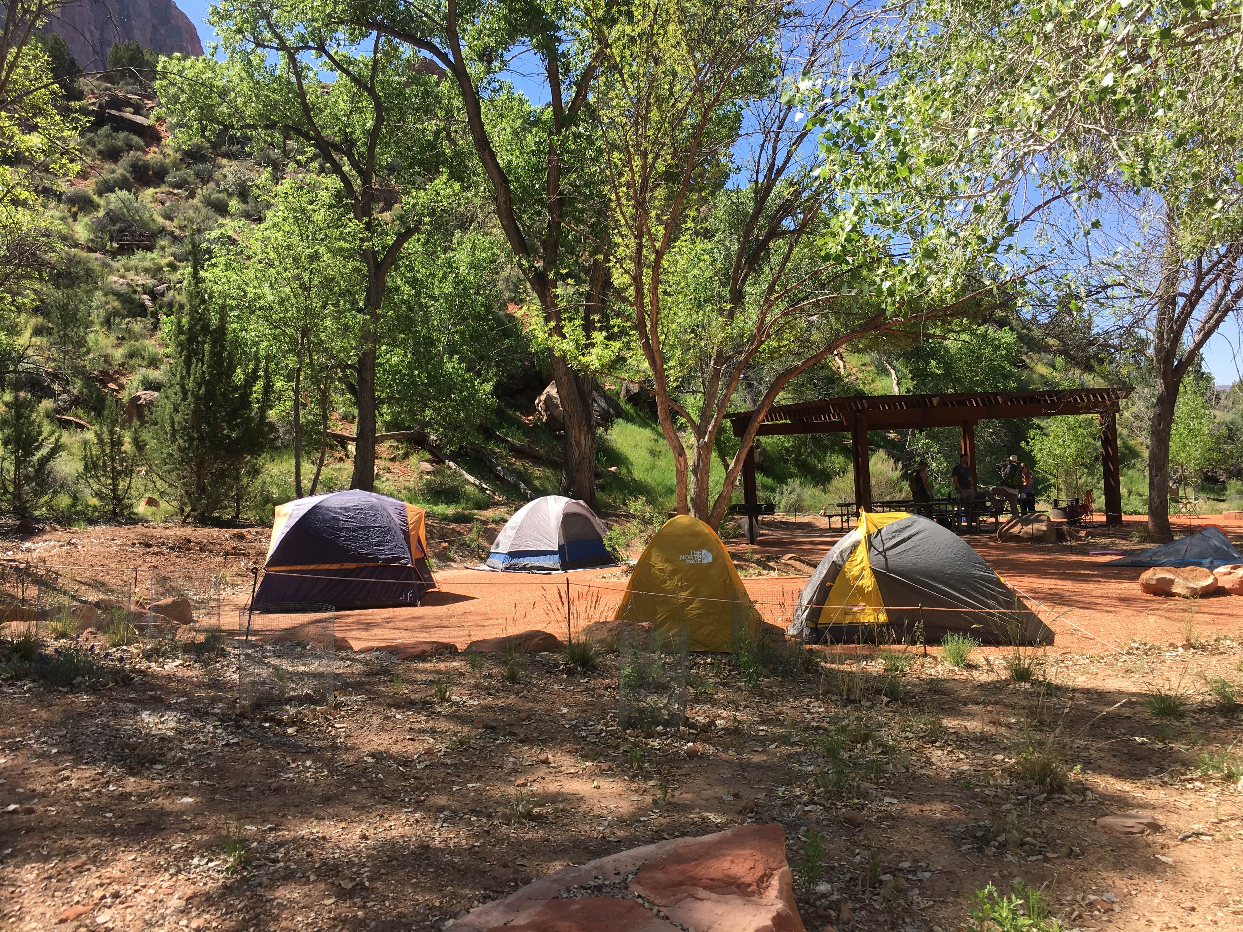 Erin M.'s photo at Watchman Campground — Zion National Park near Zion National Park
