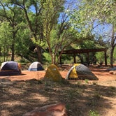 Review photo of Watchman Campground — Zion National Park by Erin M., April 27, 2019