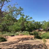 Review photo of Watchman Campground — Zion National Park by Erin M., April 27, 2019