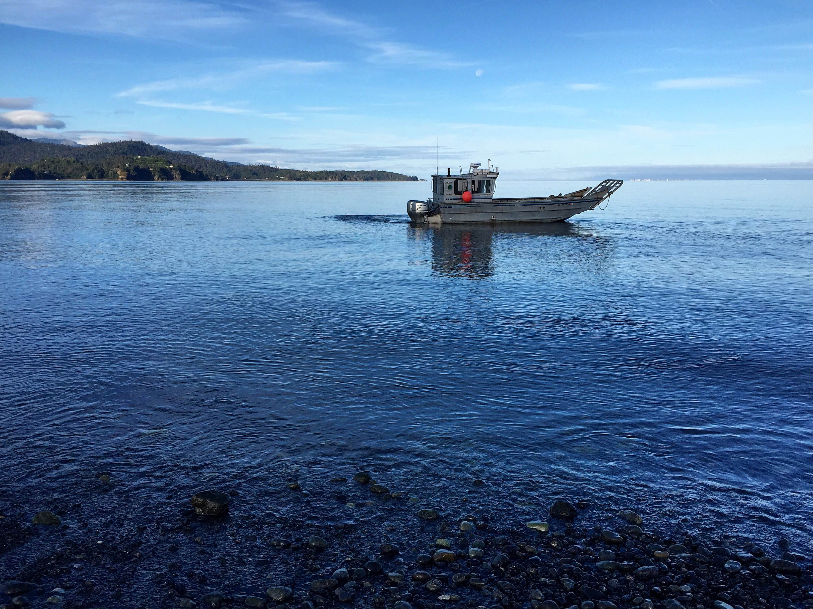 Camper submitted image from Homer Spit Campground - 4