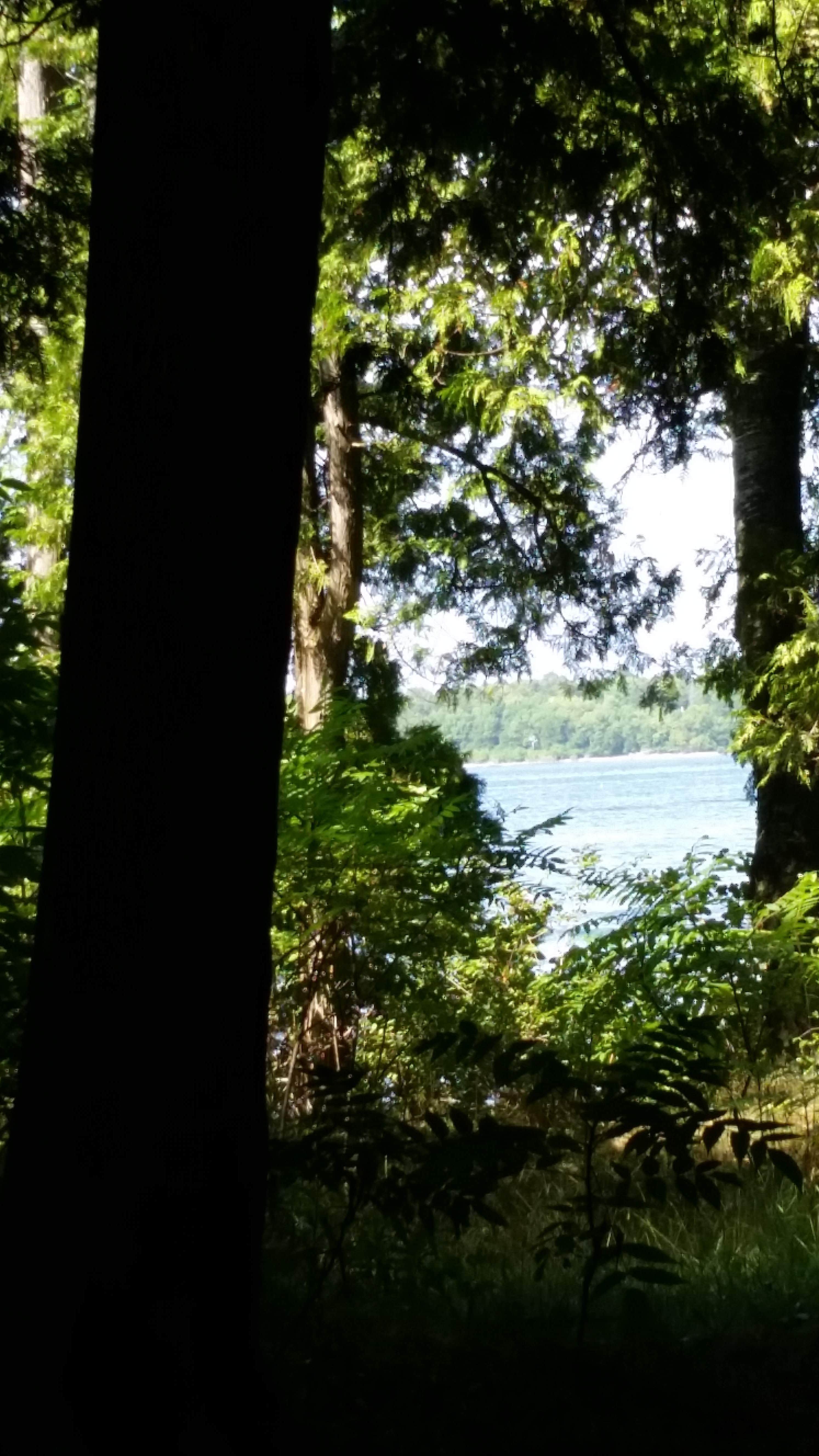 Camper submitted image from Tennison Bay Campground — Peninsula State Park - 3